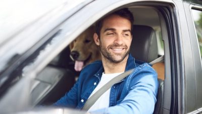 Nerd Wallet Auto Insurance Your Smart Choice