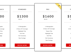 Videography Pricing Sheet Your Guide to Success