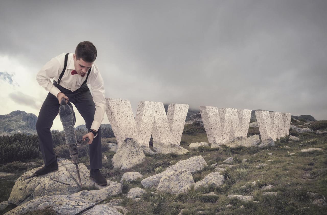 Looking For Web Designers Near Me | Freelance Web Designer