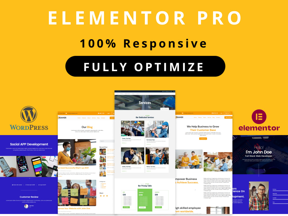 Elementor web designer