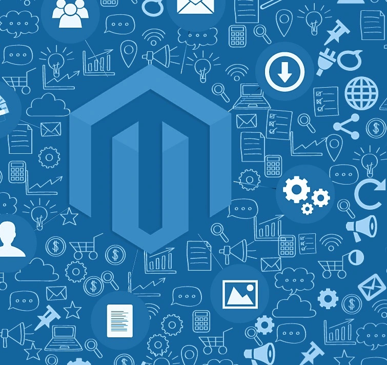 Magento web designer