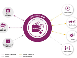 Unlock the Power of Skrill Wallet