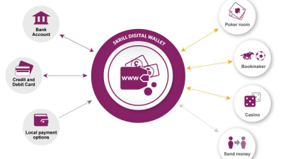 Skrill faq ewallet optimizer enlarge click