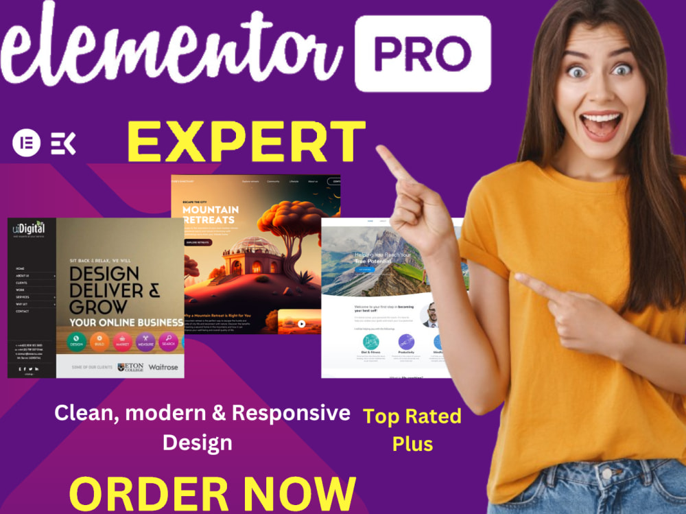 Elementor web designer