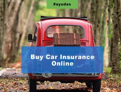 Buy Car Insurance Online Now