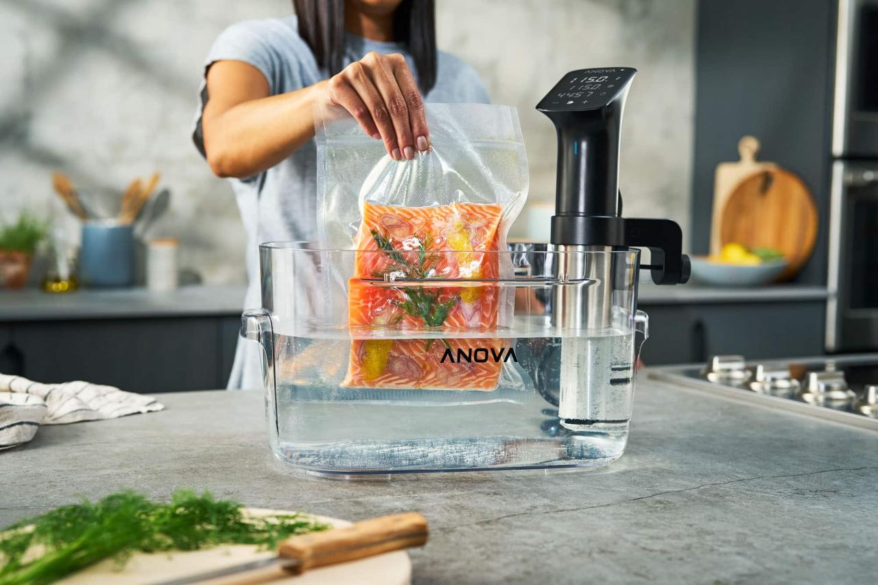 Detailed Anova Precision Cooker Pro Review and Recommendation Detailed Anova Precision Cooker Pro Review and Recommendation