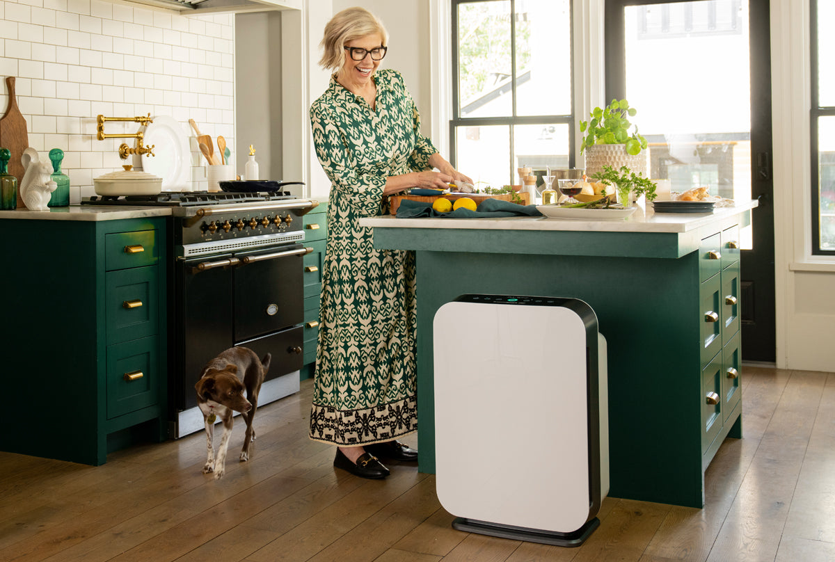 Choosing the Right Alen Air Purifier for Your Needs Choosing the Right Alen Air Purifier for Your Needs