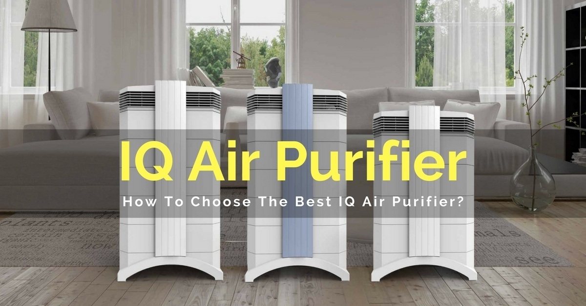 IQ Air Purifier Reviews: How To Choose The Best IQ Air Purifier? IQ Air Purifier Reviews: How To Choose The Best IQ Air Purifier?