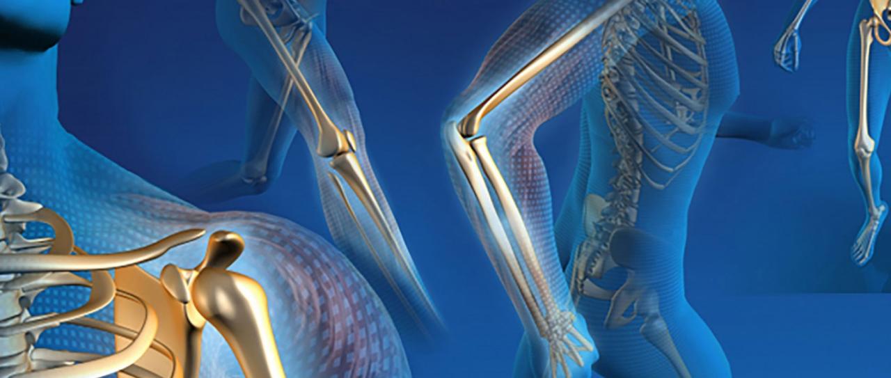 Orthopedic - Dr.Ismail Healthcare Group