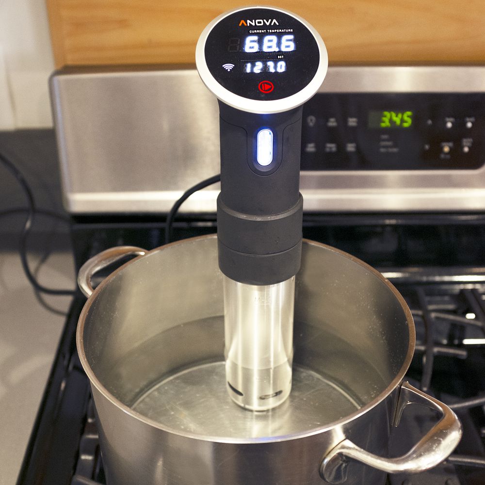 Anova Precision Cooker Review: Reliable But Bulky Sous Vide Anova Precision Cooker Review: Reliable But Bulky Sous Vide