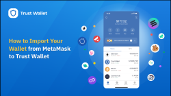 How To Import Crypto Wallet Seamlessly For Your Assets